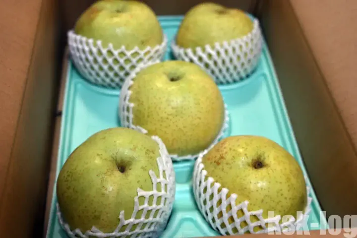 千葉県市川市の和梨の「かおり」が瑞々しくシャキシャキとして美味しかったのサムネイル