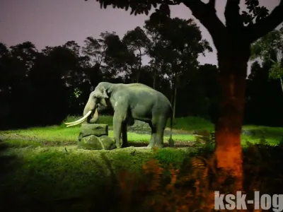 シンガポールの丸一日現地ツアーに参加してきた: Veltra経由・ウェンディーツアー開催