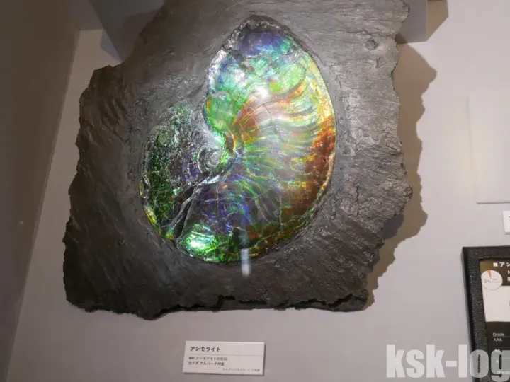 国立科学博物館の特別展「宝石 地球がうみだすキセキ」に行ってきましたのサムネイル