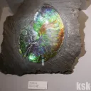 国立科学博物館の特別展「宝石 地球がうみだすキセキ」に行ってきました