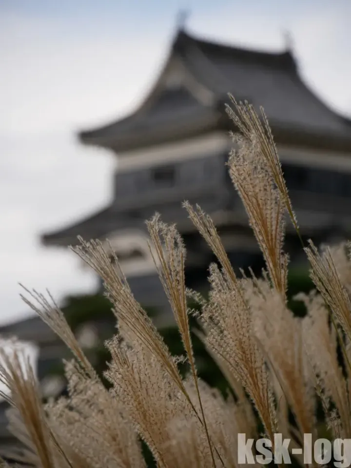 日帰りで松本城と周辺史跡へ観光に行ってきましたのサムネイル