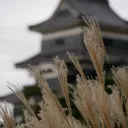 日帰りで松本城と周辺史跡へ観光に行ってきました