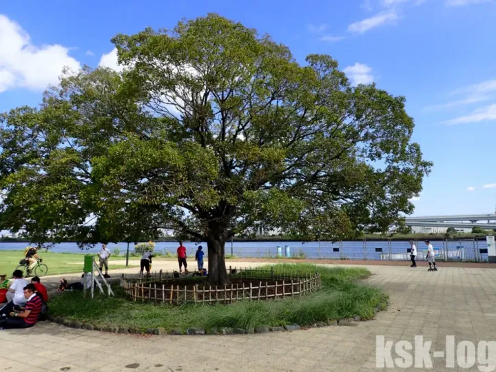 9月のARARUNへ参加してきましたのサムネイル