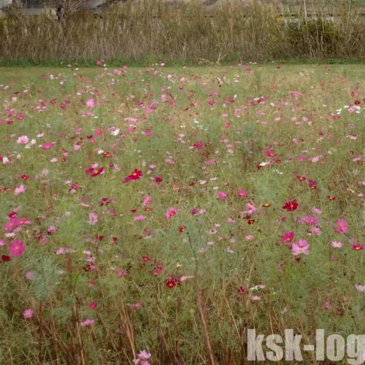 10月のARARUNへ参加してきましたのサムネイル